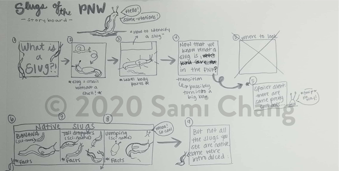 storyboard for Slugs of the PNW by Sami Chang